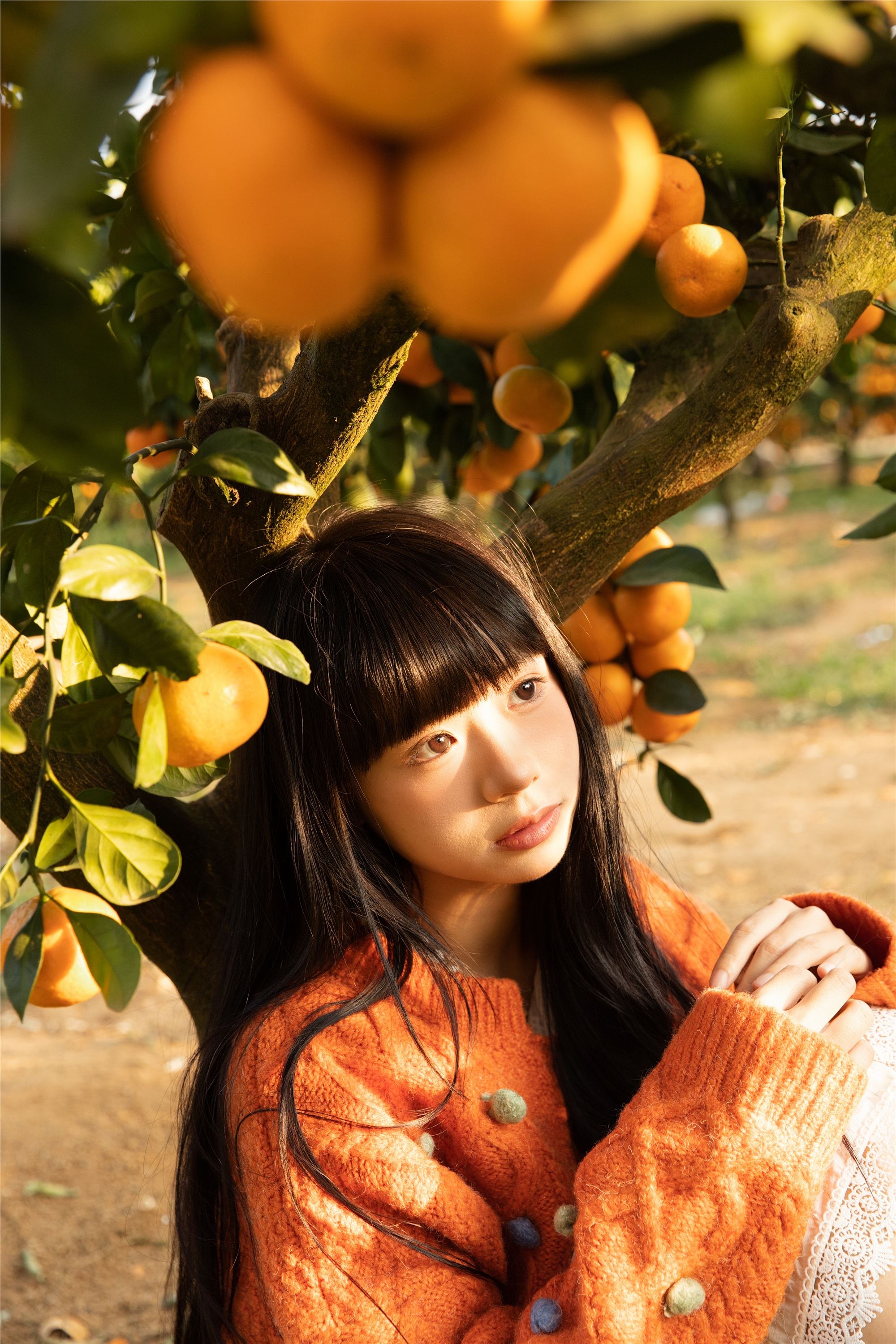 YITUYU艺图语 2025.02.03 橘子辉煌 是三金呀